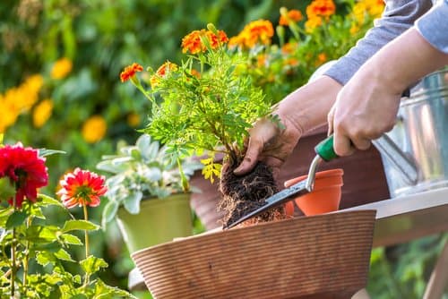 Hands-on planting work by the W.R. Reese Jr. crew